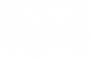 Kushi Cannabis